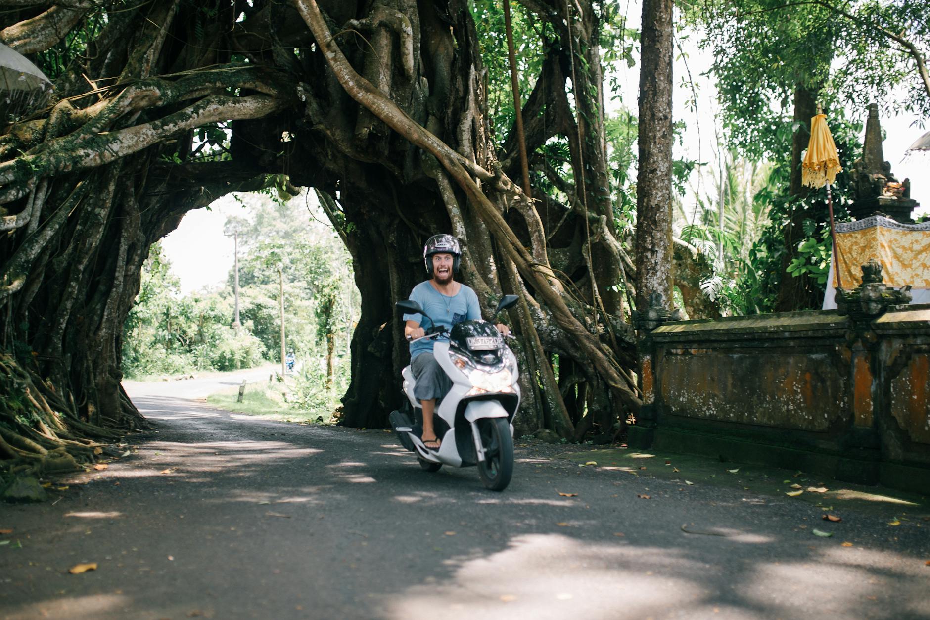 Private Half-Day Tour: Denpasar City Trip